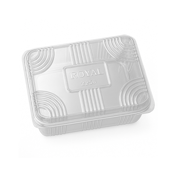 Plastic Container (2250)